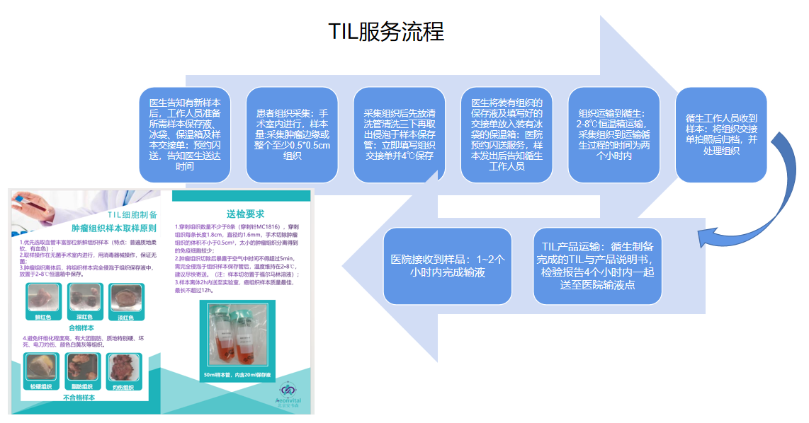 TIL 临床研究服务流程图