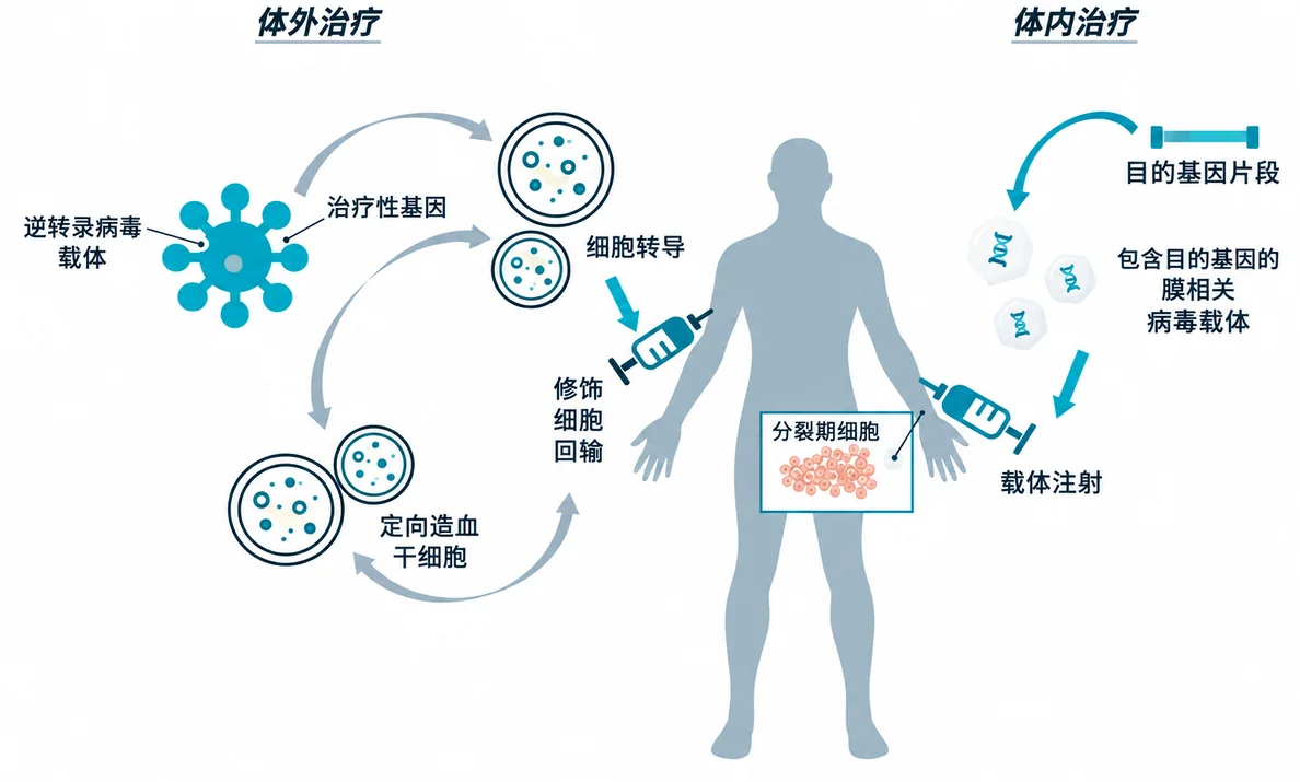 原文配图 2