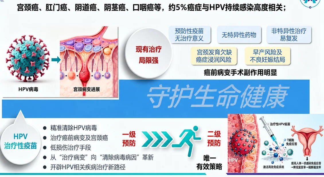 原文配图 3